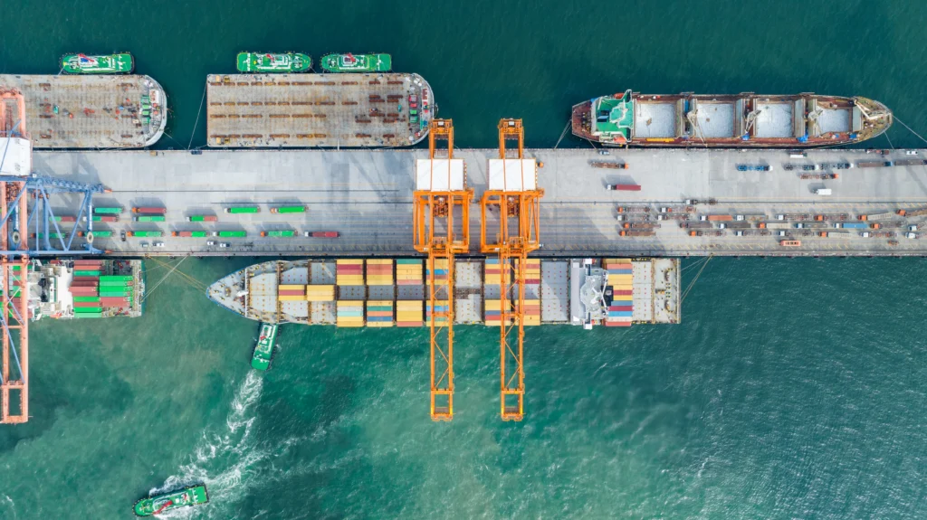 Port Congestion & Flexible Fleet Strategy
